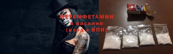 мет Алексин