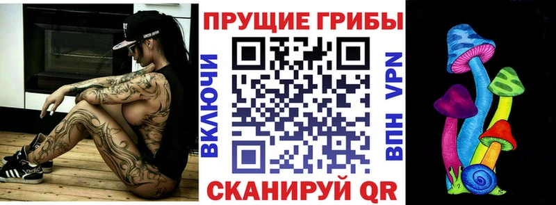 блэк спрут маркетплейс  Большой Камень  Псилоцибиновые грибы MAGIC MUSHROOMS 